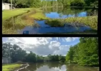 Efficient Pond Cleaner