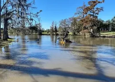 Efficient Pond Cleaner