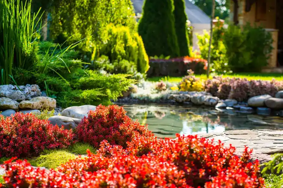 How to Clean Pond Filter Lake Charles, LA How to Clean Pond Filter Lake Charles, LA