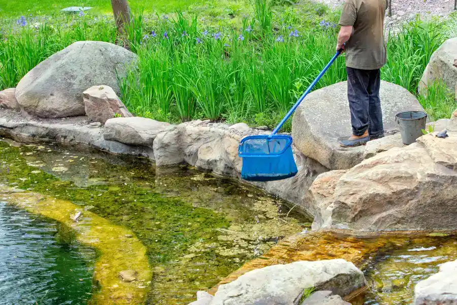 How to Clean a Pond in Lake Charles, LA