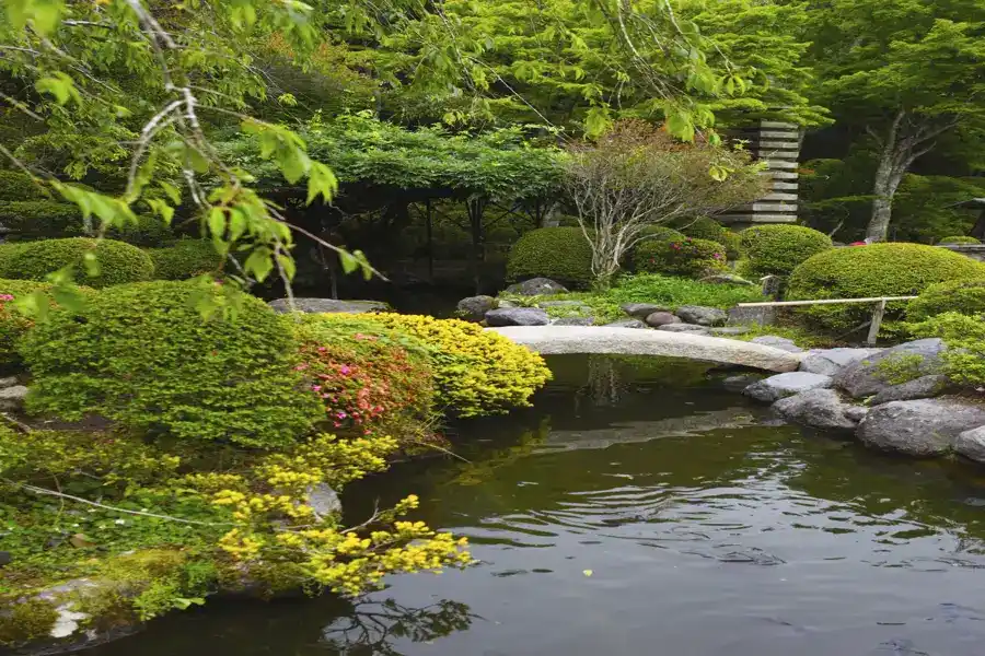 How to Control Algae in a Pond in Lake Charles, LA