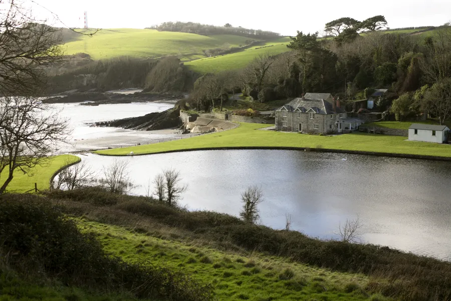 How to Keep Pond Water Clear in Lake Charles, LA