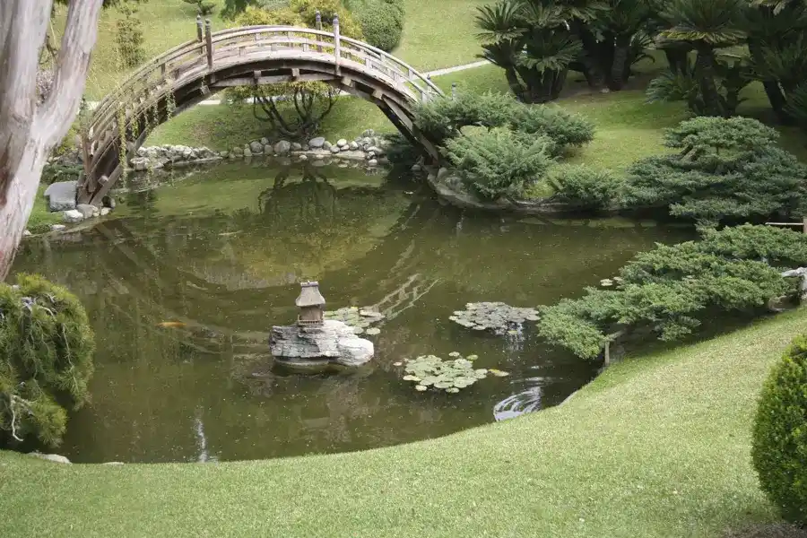 Reliable Pond Algae Control in Lake Charles, LA