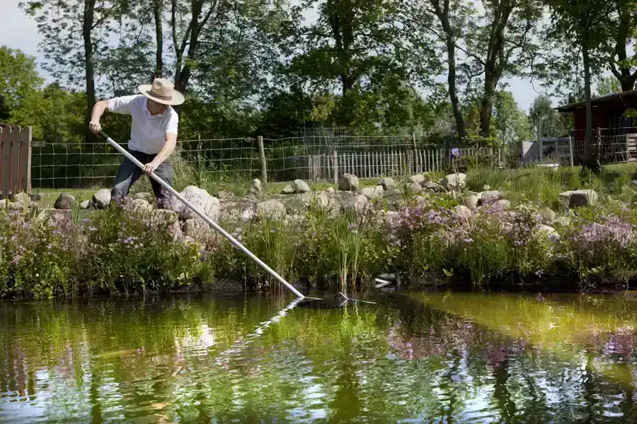 Professional Pond Cleaning Service in Lake Charles, LA