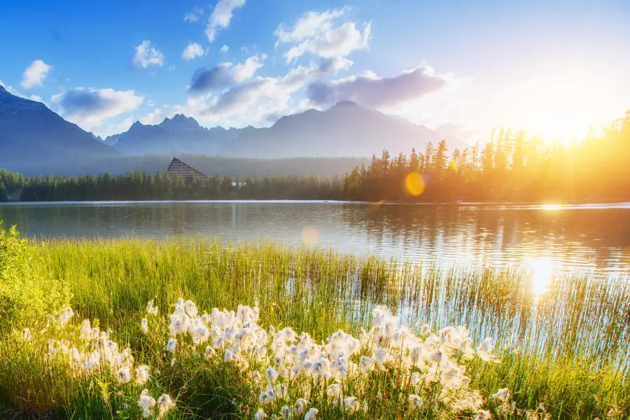 Affordable Pond Management Lake Charles, LA