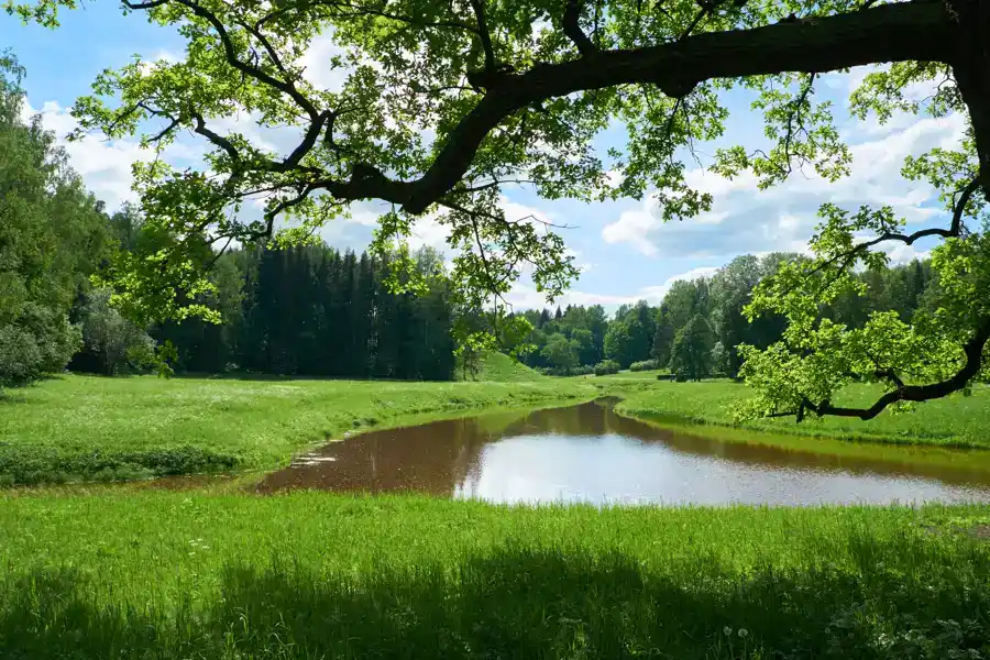 Professional Pond Management in Lake Charles, LA